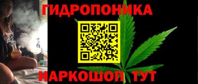 спиды Новодвинск