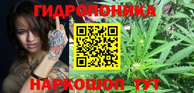 ГАЛЛЮЦИНОГЕННЫЕ ГРИБЫ Нальчик