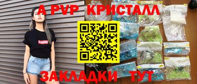 спиды Новодвинск