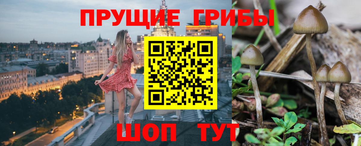 Галлюциногенные грибы GOLDEN TEACHER  Вход с VPN  Азов 